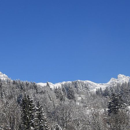 Energiepension Schwaiger Leogang Exteriér fotografie